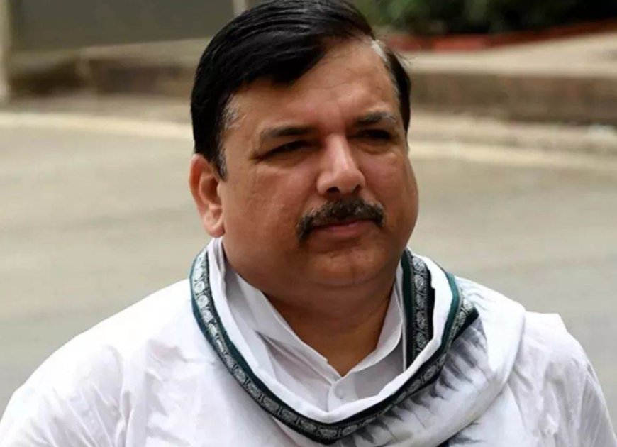 Kejriwal's Wife's Meeting Being Conducted Through Window Box in Tihar: Sanjay Singh Claims